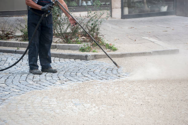Best Driveway Pressure Washing  in South Coatesville, PA